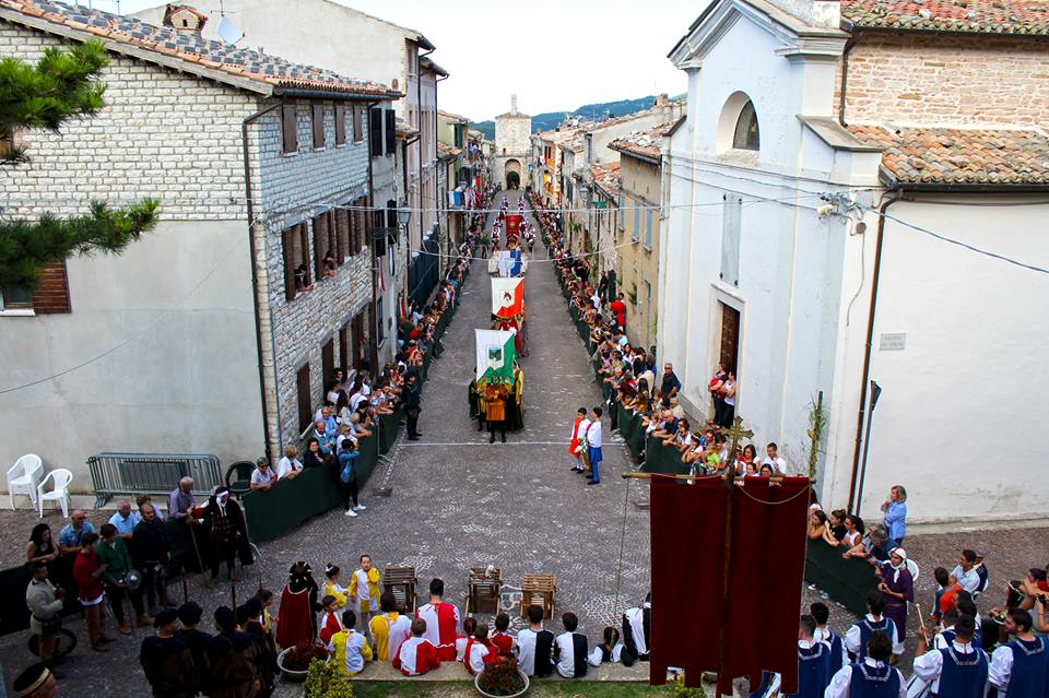 palio2015-1